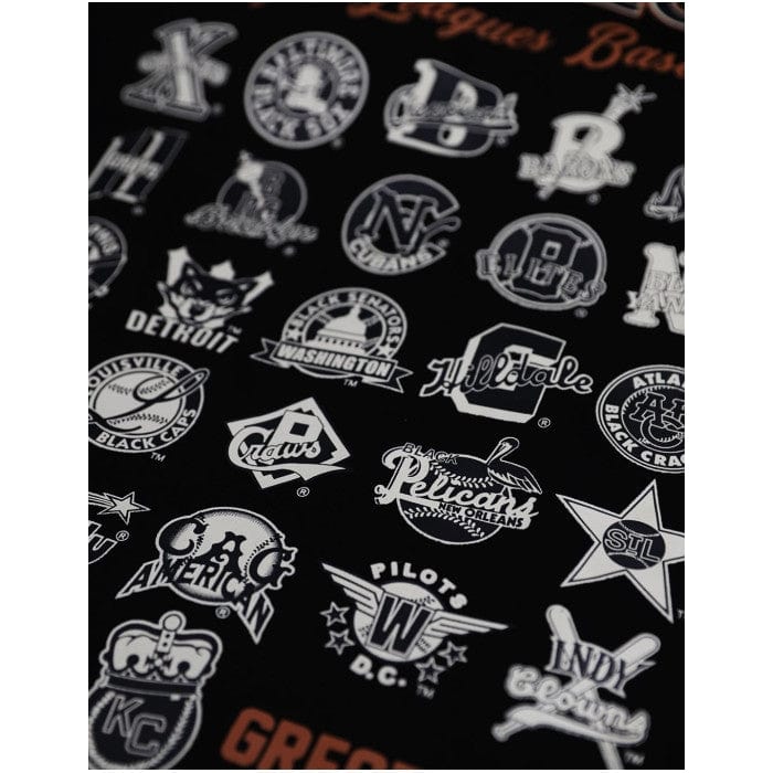 6 of 7: Negro Leagues Baseball Commemorative Hooded Sweatshirt (Black, Rear, Detail)