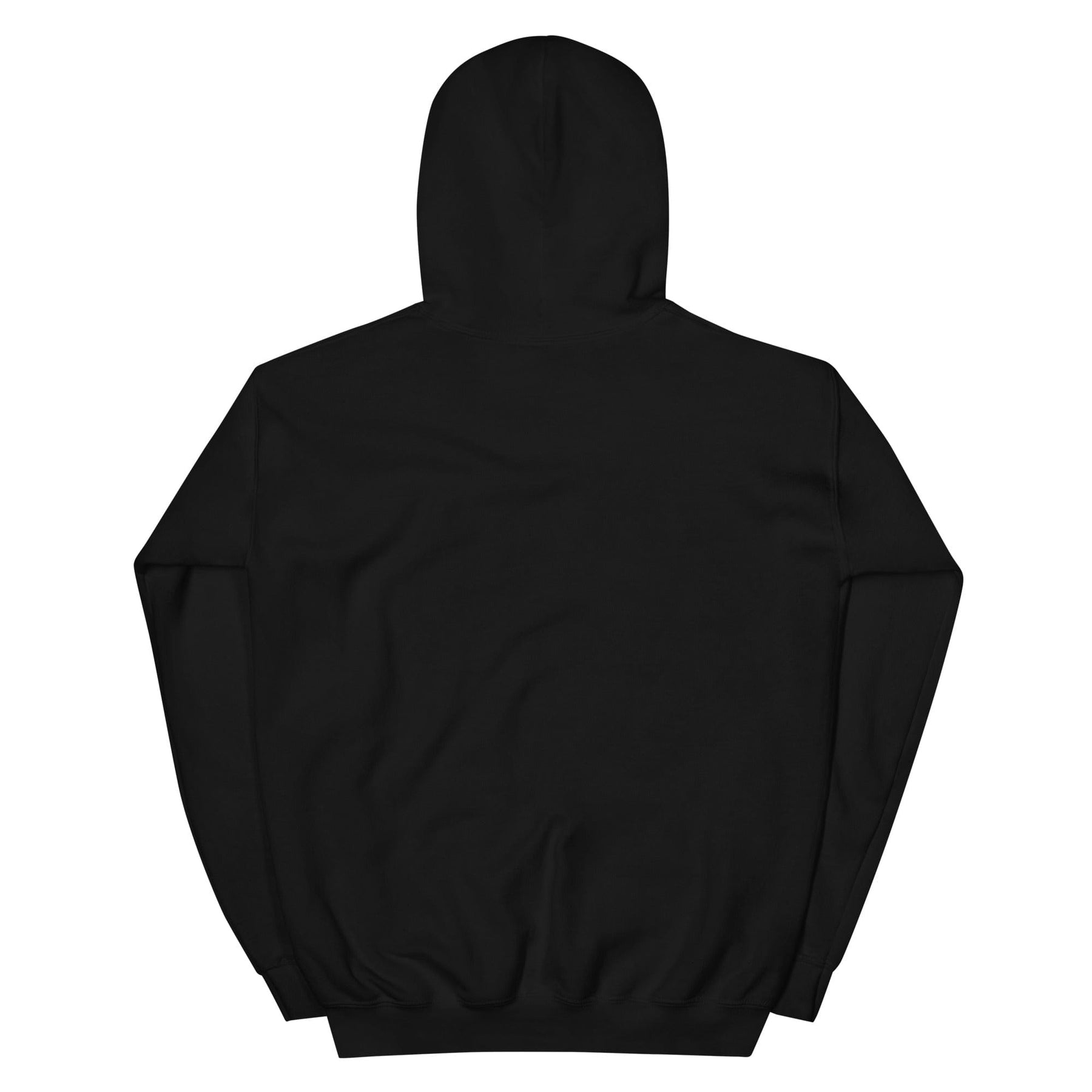 3 of 9: History Honors the Fearless Unisex Hooded Sweatshirt II (Rear)