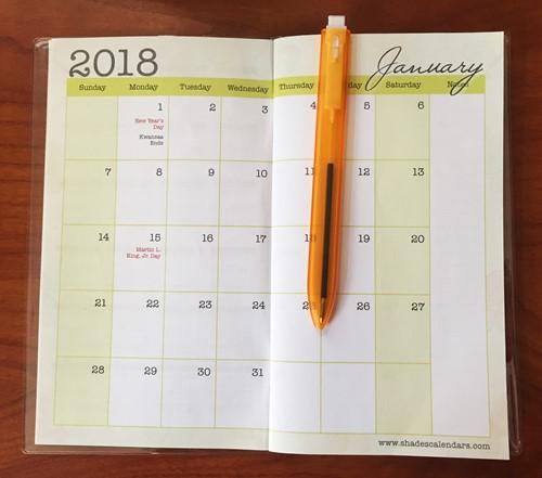 Peace, Patience and Prayer: 2018-2019 African American Checkbook Planner by Cidne Wallace (Interior)