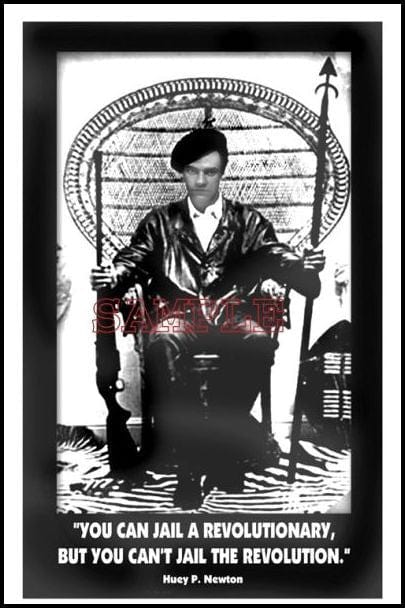 Huey P. Newton: Revolutionary by Julian Madyun 