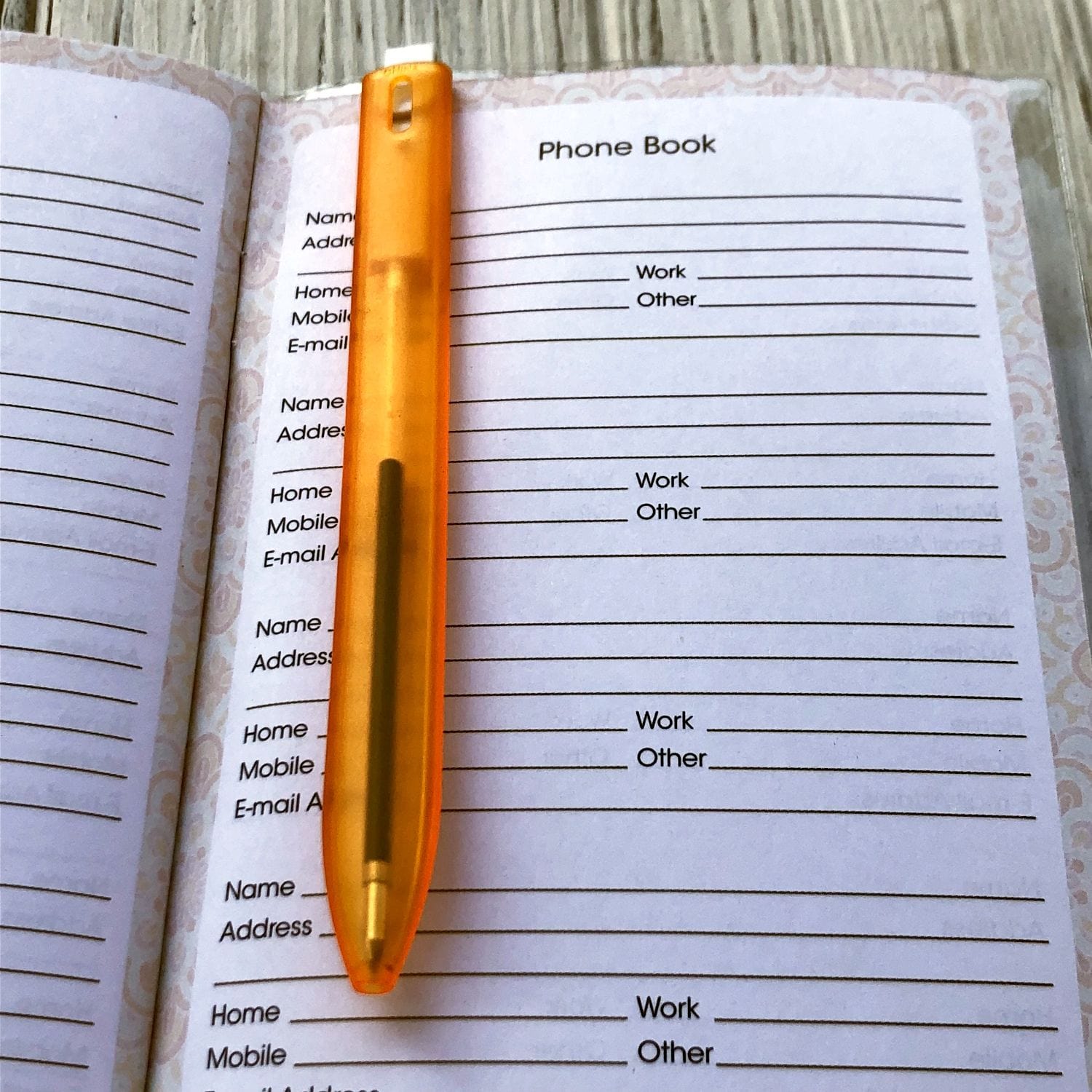 6 of 8: I Am Powerful: 2020-2021 Two Year African American Checkbook Planner by GBaby (Interior)