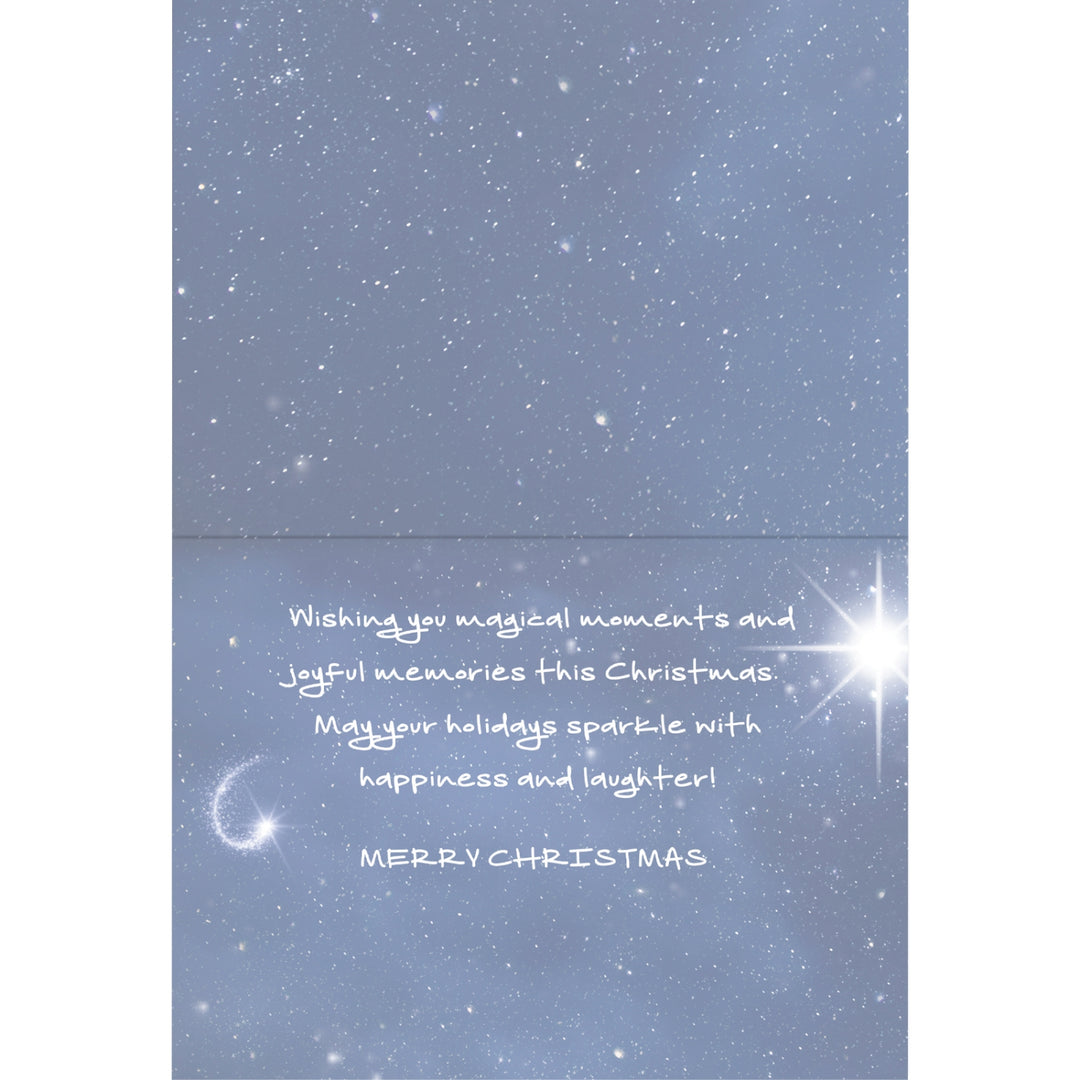 Assorted Set #13: Christmas Card Box Set