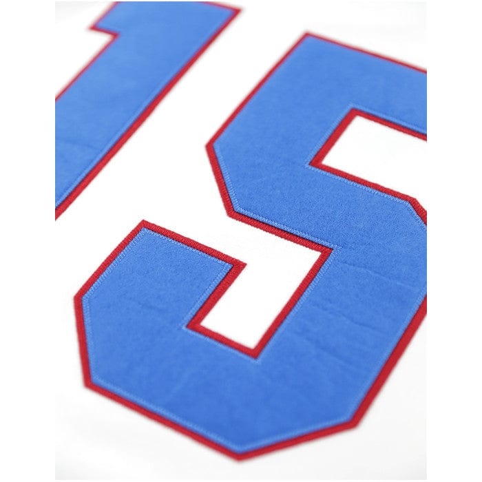 James "Cool Papa Bell": St. Louis Stars Heritage Baseball Jersey (Rear Detail)