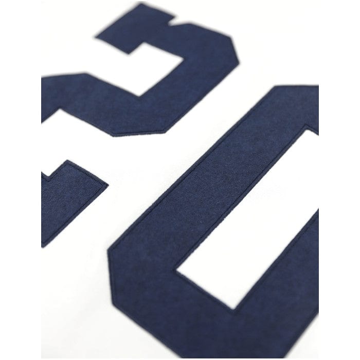 Josh Gibson: Homestead Grays Baseball Jersey (Rear, Detail)