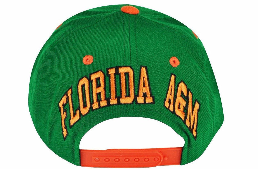 Florida A&M University Rattlers Snapback Blockhead Baseball Cap by American Needle (Rear)
