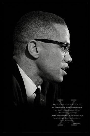 Brotherhood: Malcolm X Poster