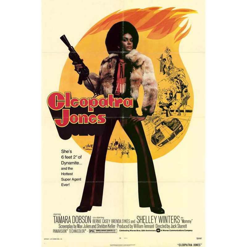 Cleopatra Jones Movie Poster-Poster-Movie Posters-17x11 inches-Unframed-The Black Art Depot