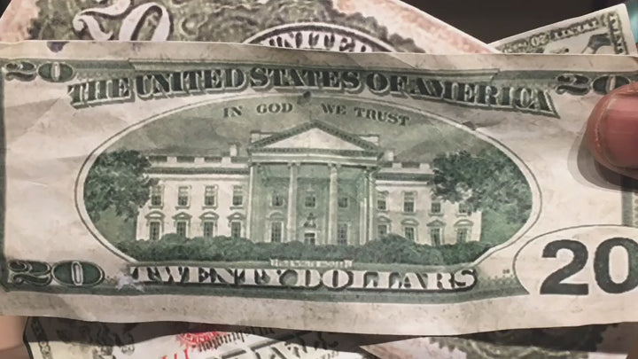 Harriet Tubman: Irreplaceable Values by Edwin Lester (Product Video)