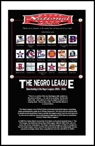 The National Negro Leagues by Julian Madyun