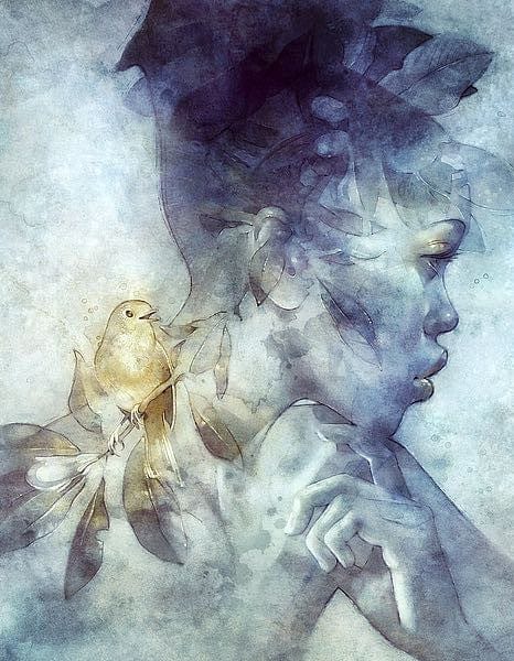 Midas by Anna Dittman (Art Print)