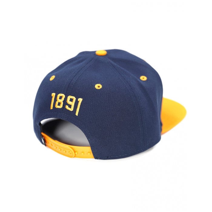 North Carolina A&T University Aggies Baseball Cap by Big Boy Headgear