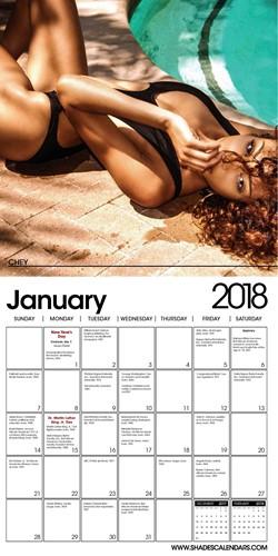 Shades of Color Swimsuit by Rita G. (2018 African-American Calendar) - Inside