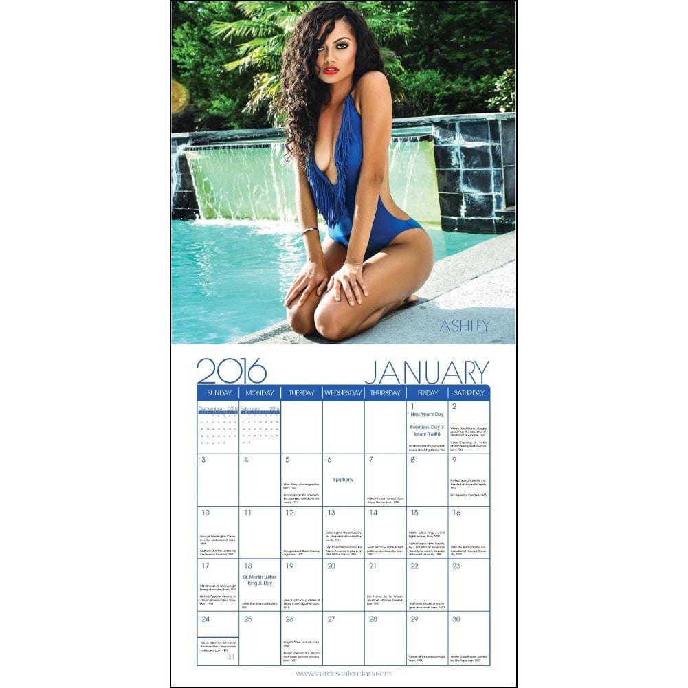 Shades of Color 2016 Swimsuit Wall Calendar by Rita G. (Inside)