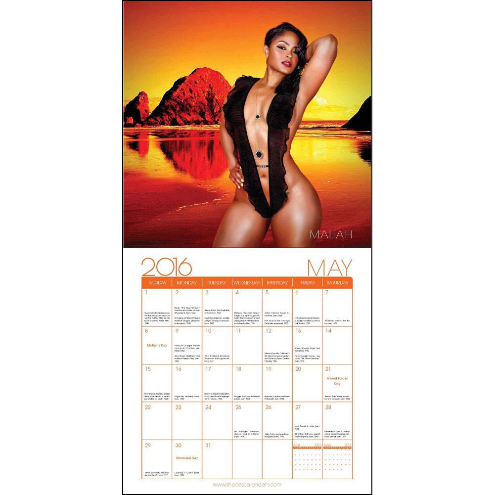 Shades of Color 2016 Swimsuit Wall Calendar by Rita G. (Inside)