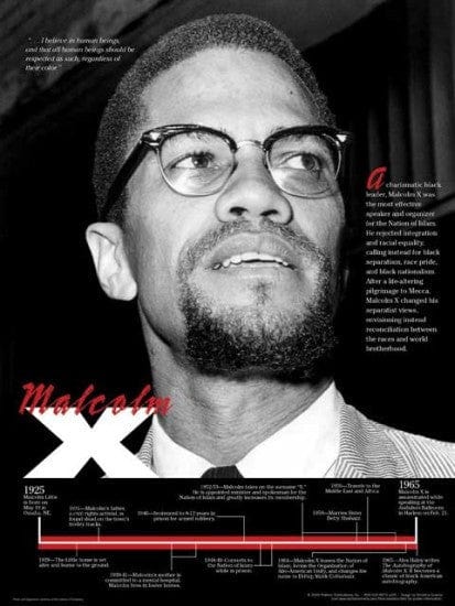 Malcolm X: Timeline Poster by Techdirections – The Black Art Depot